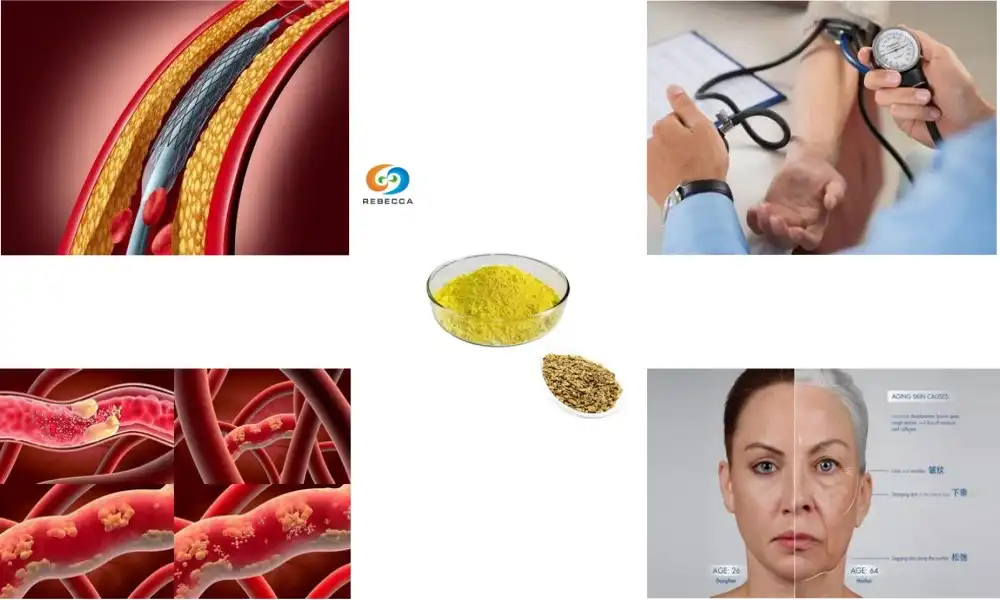 How Kaempferol Powder Supports a Healthy Heart?